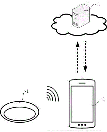 Human body essential nutrient detection system