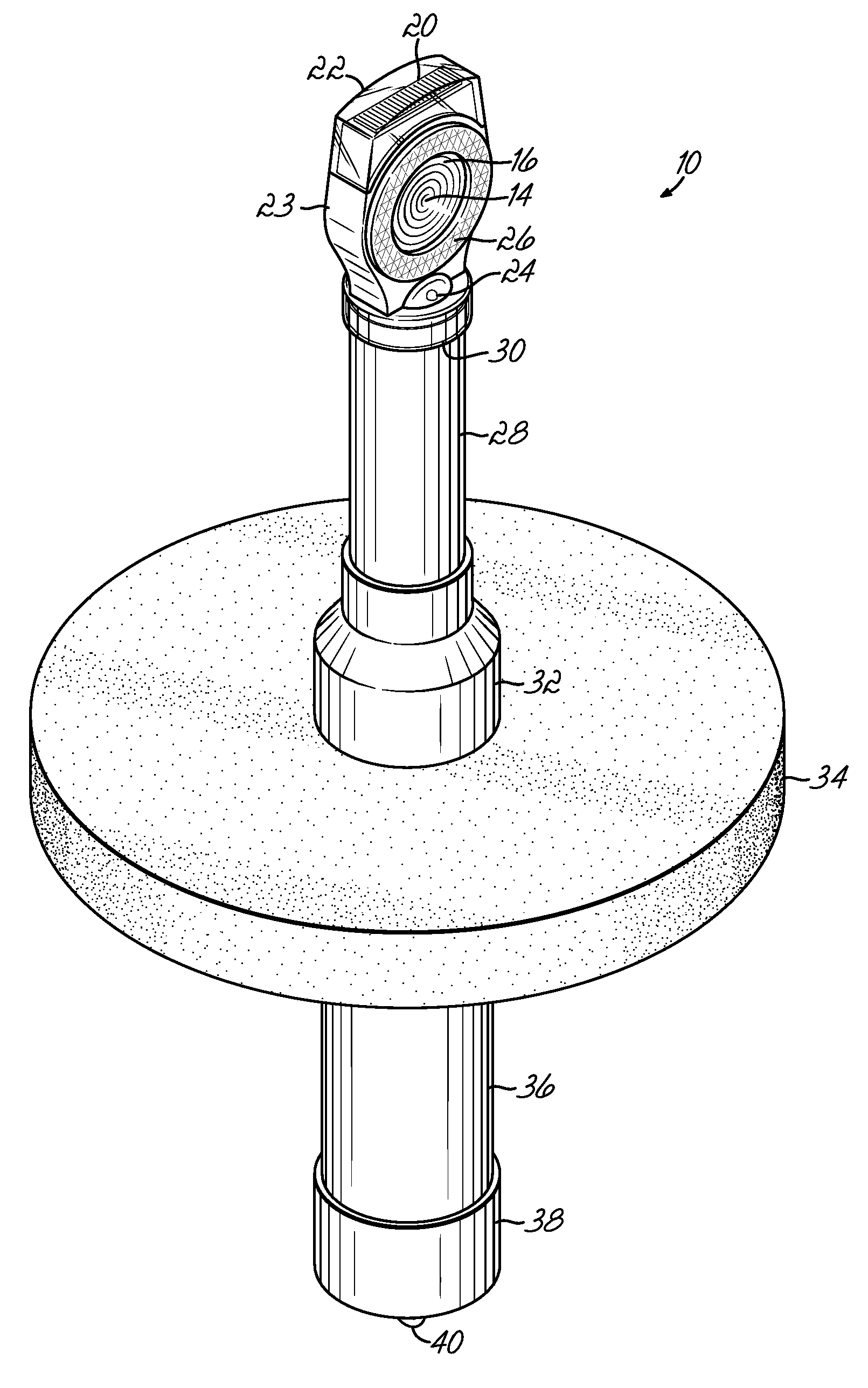 Method and apparatus for repelling geese