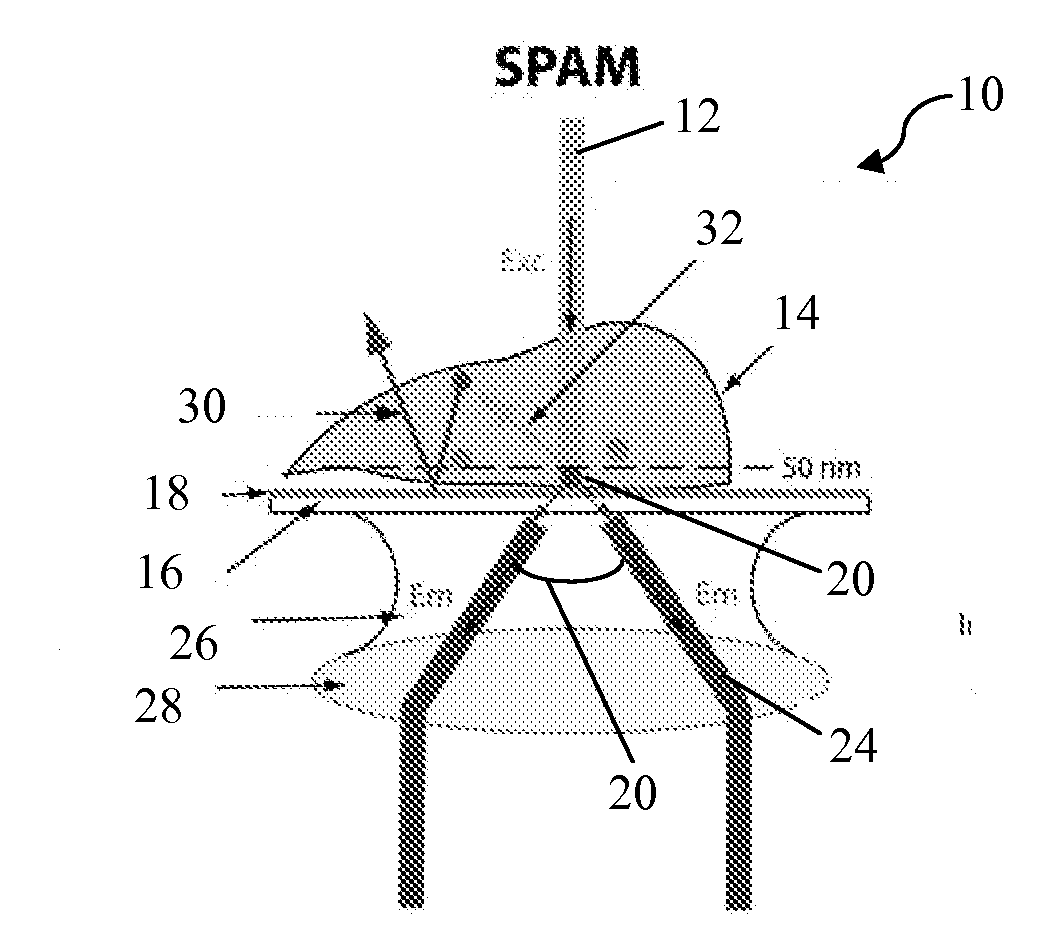 Surface plasmon assisted microscope