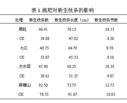 Special active fertilizer for honeysuckle and preparation method thereof