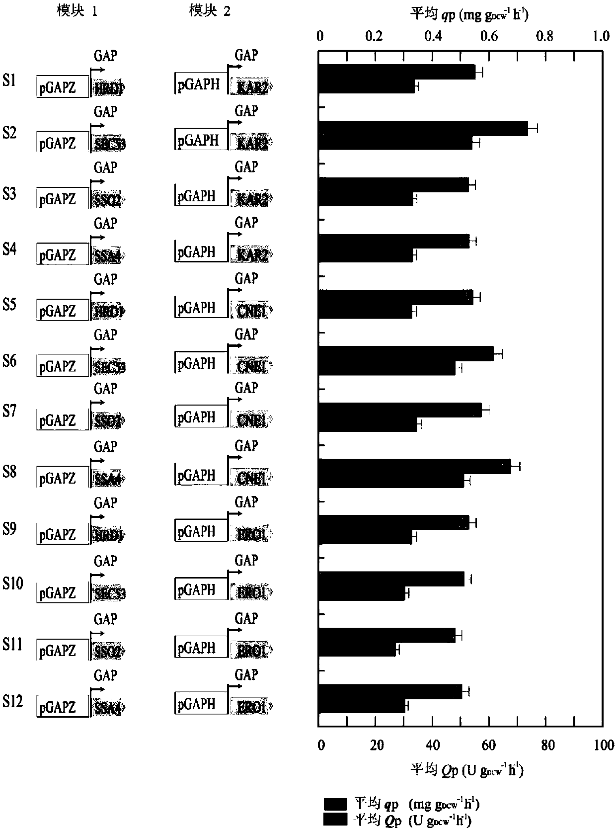 Method for enhancing glucose oxidase secretion through transforming folding and secreting pathway of protein