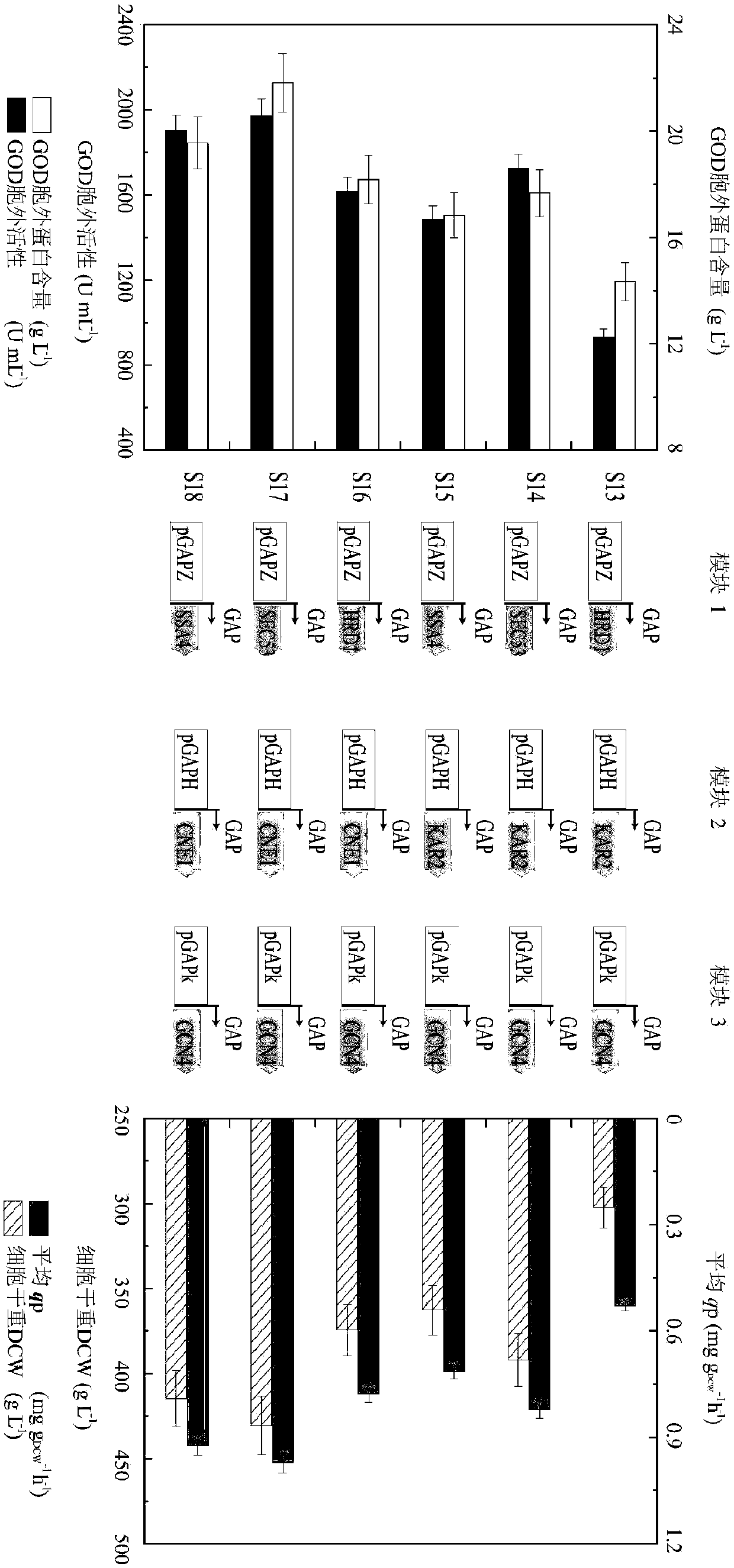 Method for enhancing glucose oxidase secretion through transforming folding and secreting pathway of protein