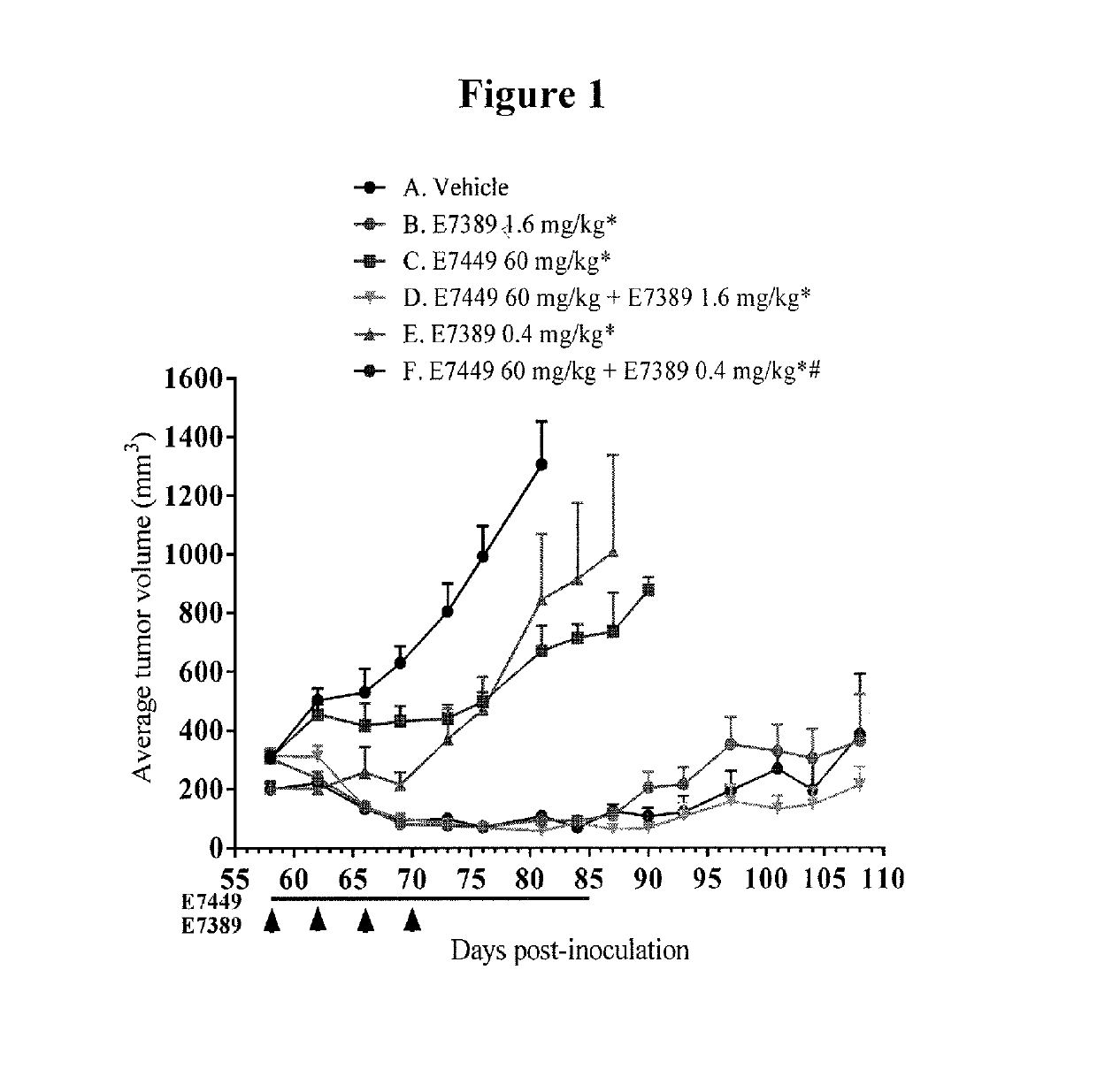 Use of eribulin and poly (ADP ribose) polymerase (PARP) inhibitors as combination therapy for the treatment of cancer