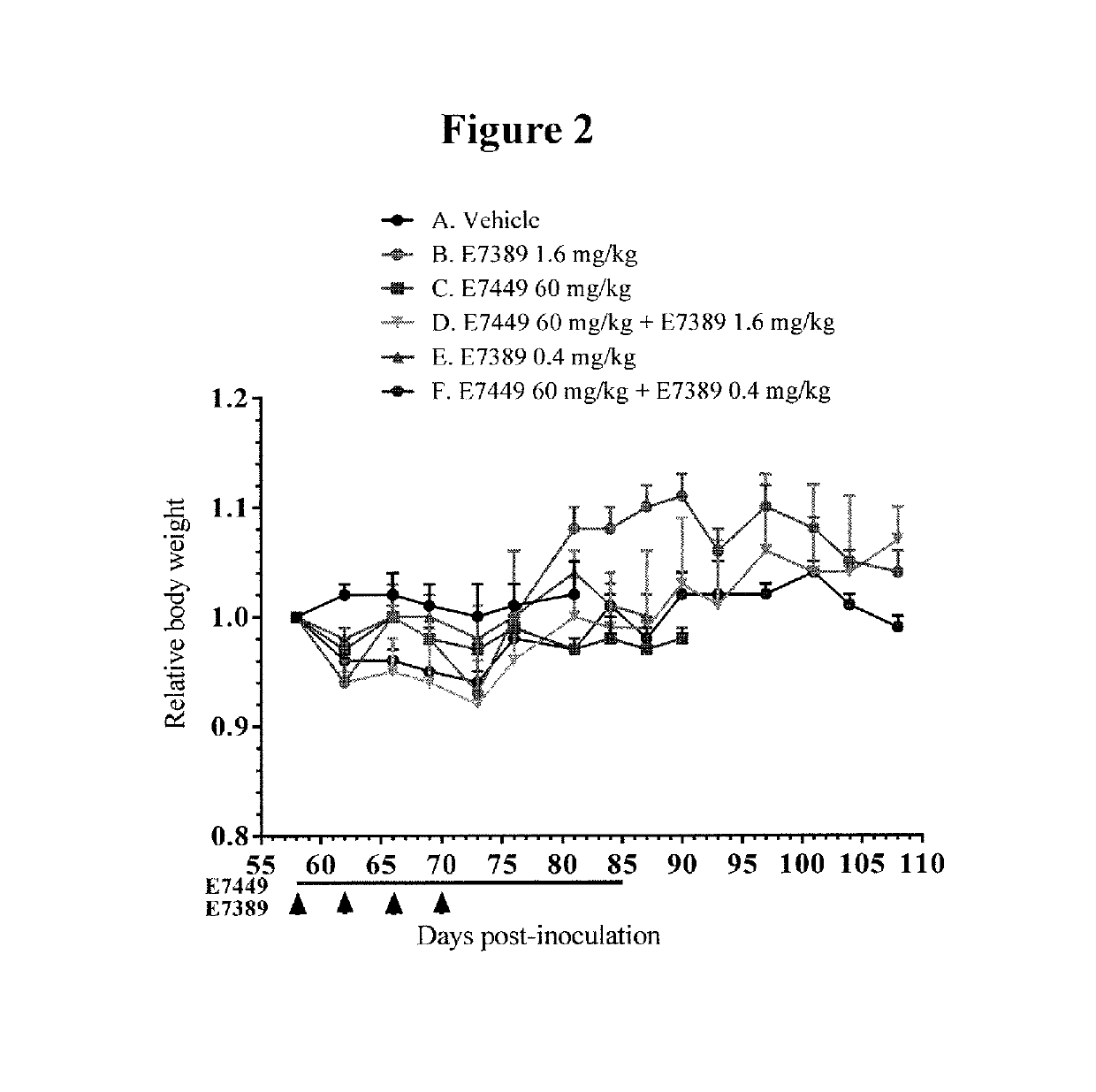 Use of eribulin and poly (ADP ribose) polymerase (PARP) inhibitors as combination therapy for the treatment of cancer