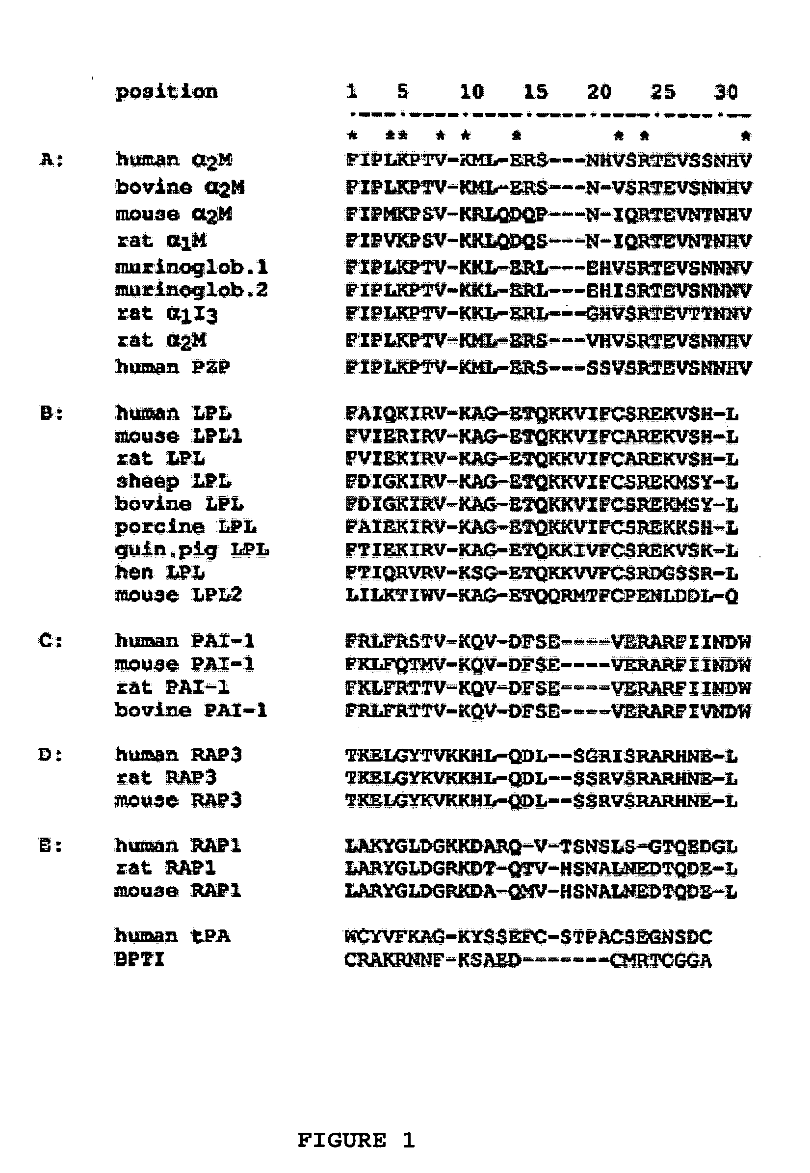 Compositions and methods for targeting a polypeptide to the central nervous system