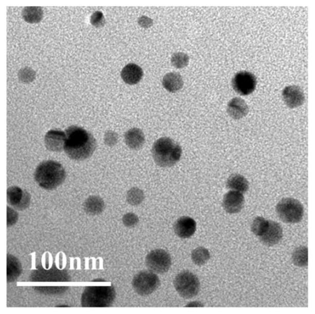 Method for preparing 1-halogenated alkyne under catalysis of heterogeneous Ag catalyst at room temperature