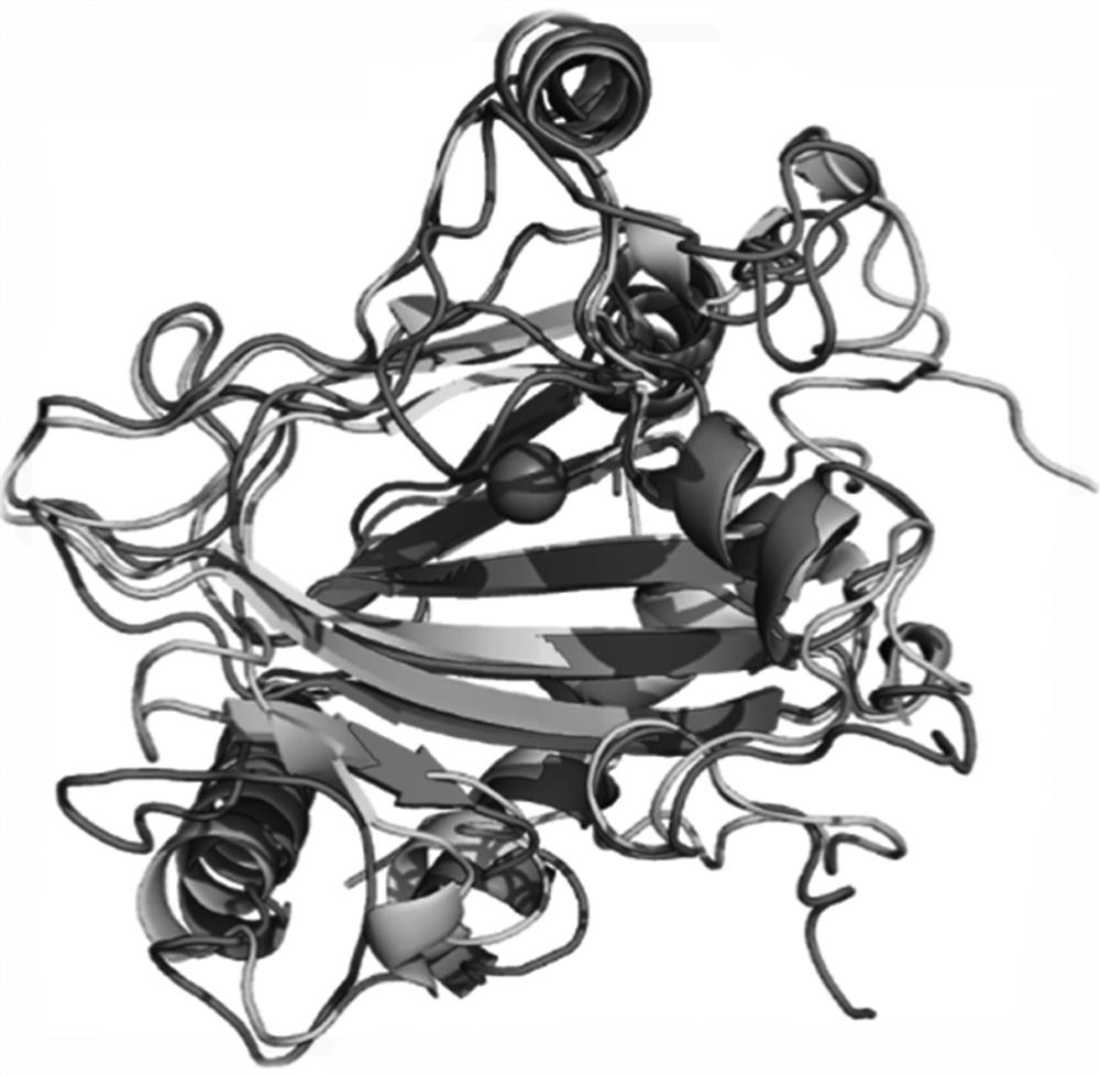 L-proline 4-hydroxylase and application thereof