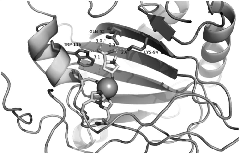 L-proline 4-hydroxylase and application thereof