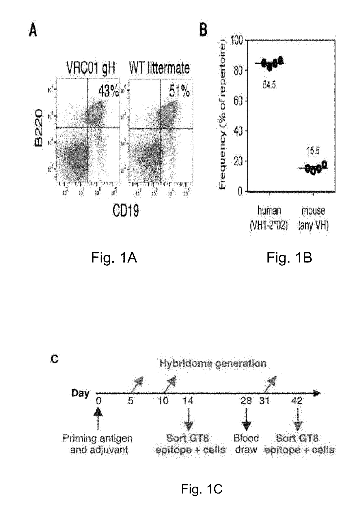 Engineered outer domain (EOD) of HIV gp120, mutants and use thereof