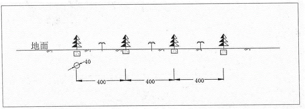 Ecological restoration management method for coal spontaneous combustion fire potential areas