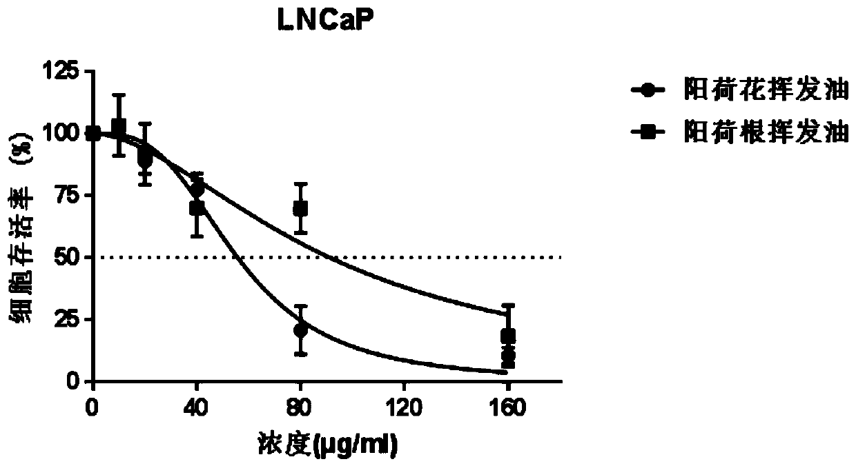 Application of zingiber strioatum volatile oil to preparation of anti-prostatic-cancer products