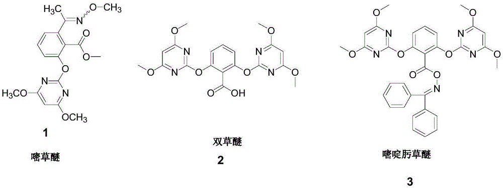 Preparation method of paddy field herbicide pyriminobac-methyl