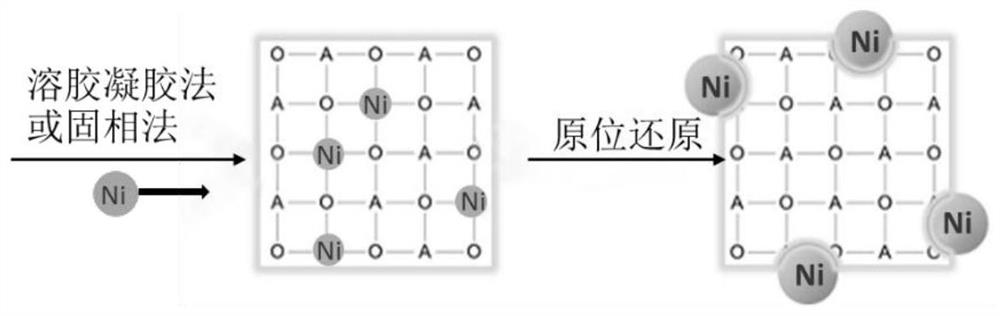 A kind of perovskite catalyst and its preparation method and in-situ testing method