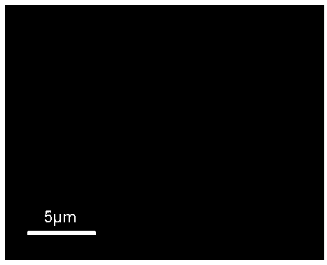 High-capacity monocrystal-like lithium nickel cobalt aluminate positive electrode material and preparation method thereof