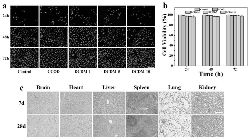 Multifunctional hydrogel for promoting blood circulation long-acting opening and preparation method thereof