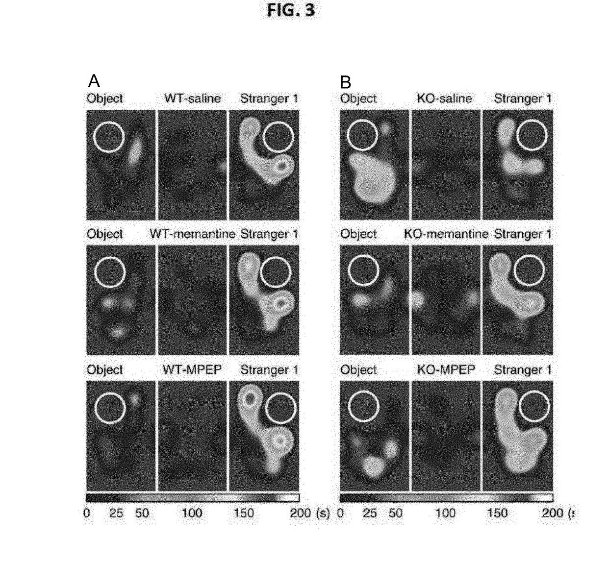 Pharmaceutical composition for prevention and treatment of mental disease with enhanced nmdar function