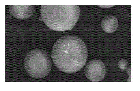 Semaglutide liposome and preparation method thereof