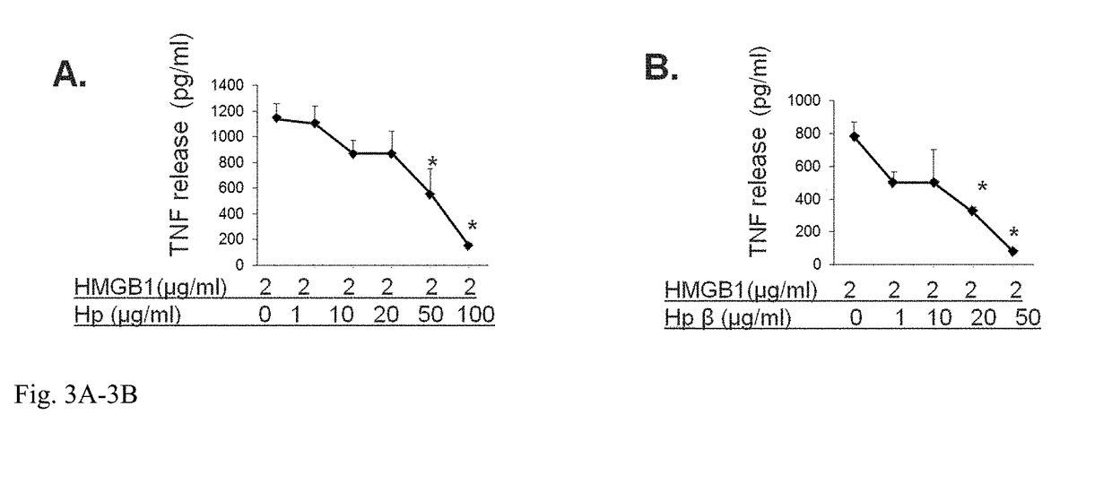 Haptoglobin derivative for treatment of sepsis and acetaminophen-induced liver damage