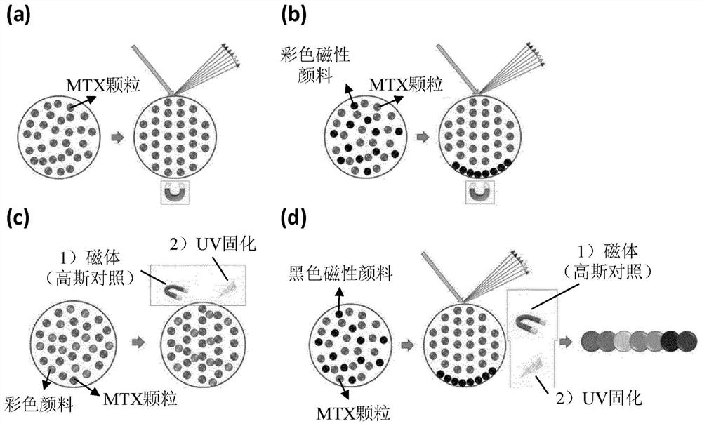 Microcapsule containing color particles and print medium including the same