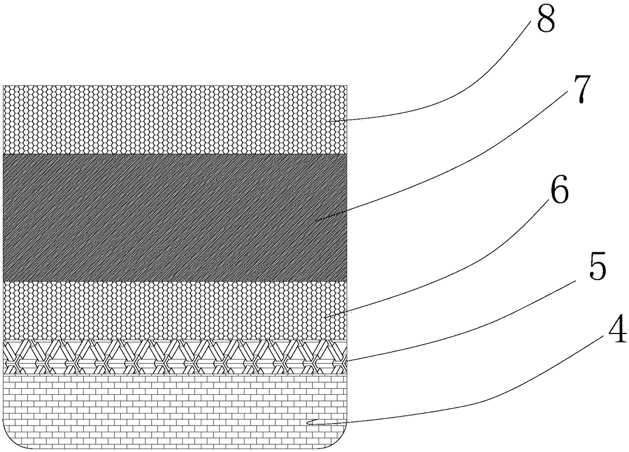 High-yield planting method for bletilla striata under camellia oleifera forest