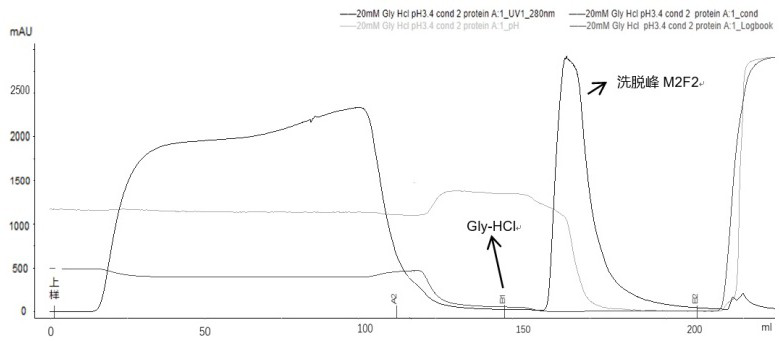 A method for removing recombinantly expressed antibody aggregates and degradation products