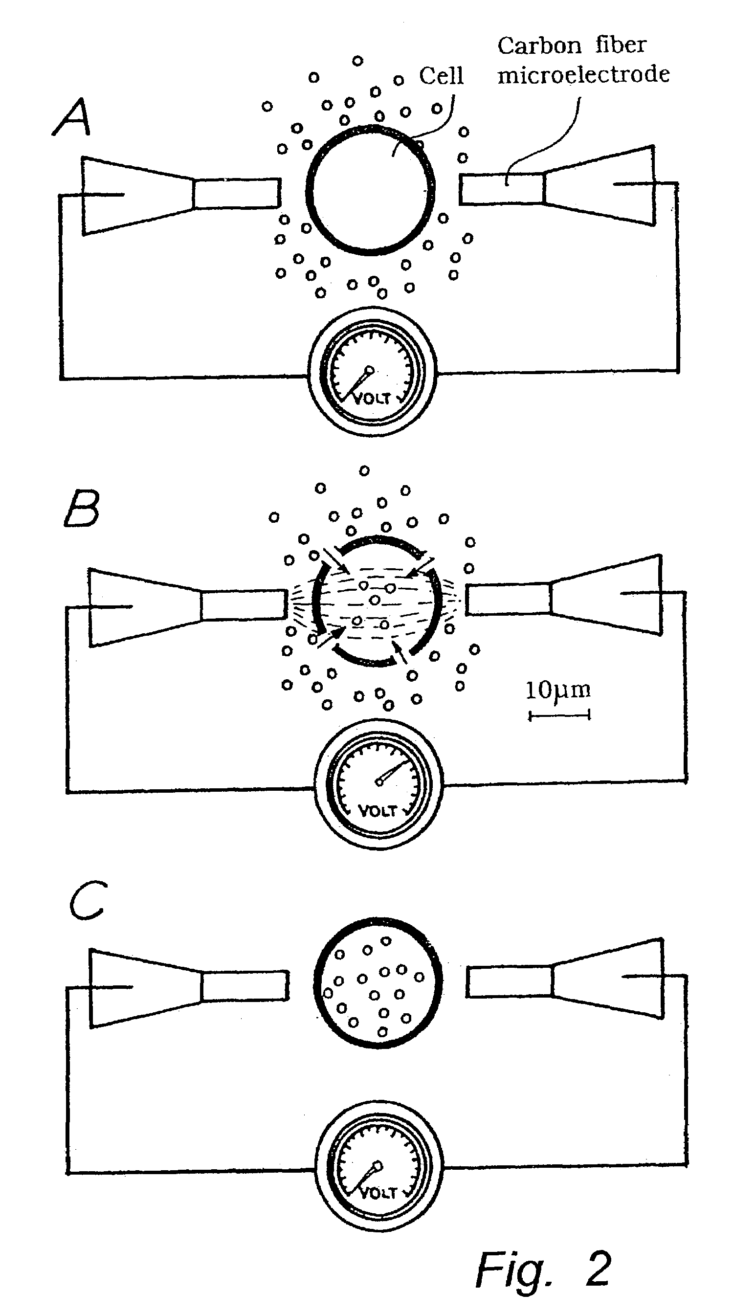 Method for electro-permeabilization of individual cellular and organellar structures and use thereof