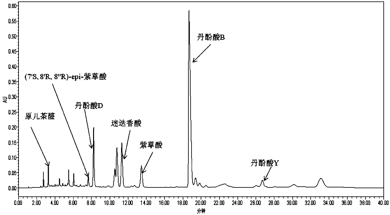 Preparation method of salvianolic acid Y