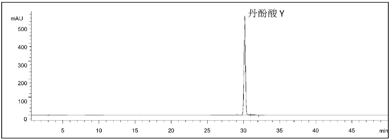 Preparation method of salvianolic acid Y