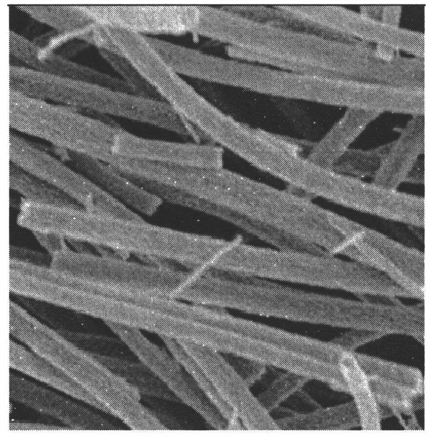 SnO2/TiO2 composite nanofiber photocatalyst and preparation method thereof