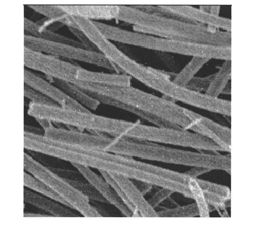 SnO2/TiO2 composite nanofiber photocatalyst and preparation method thereof