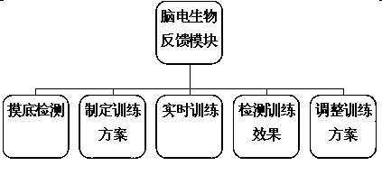 System for integral correction of attention, studies and behaviors for children and adolescents