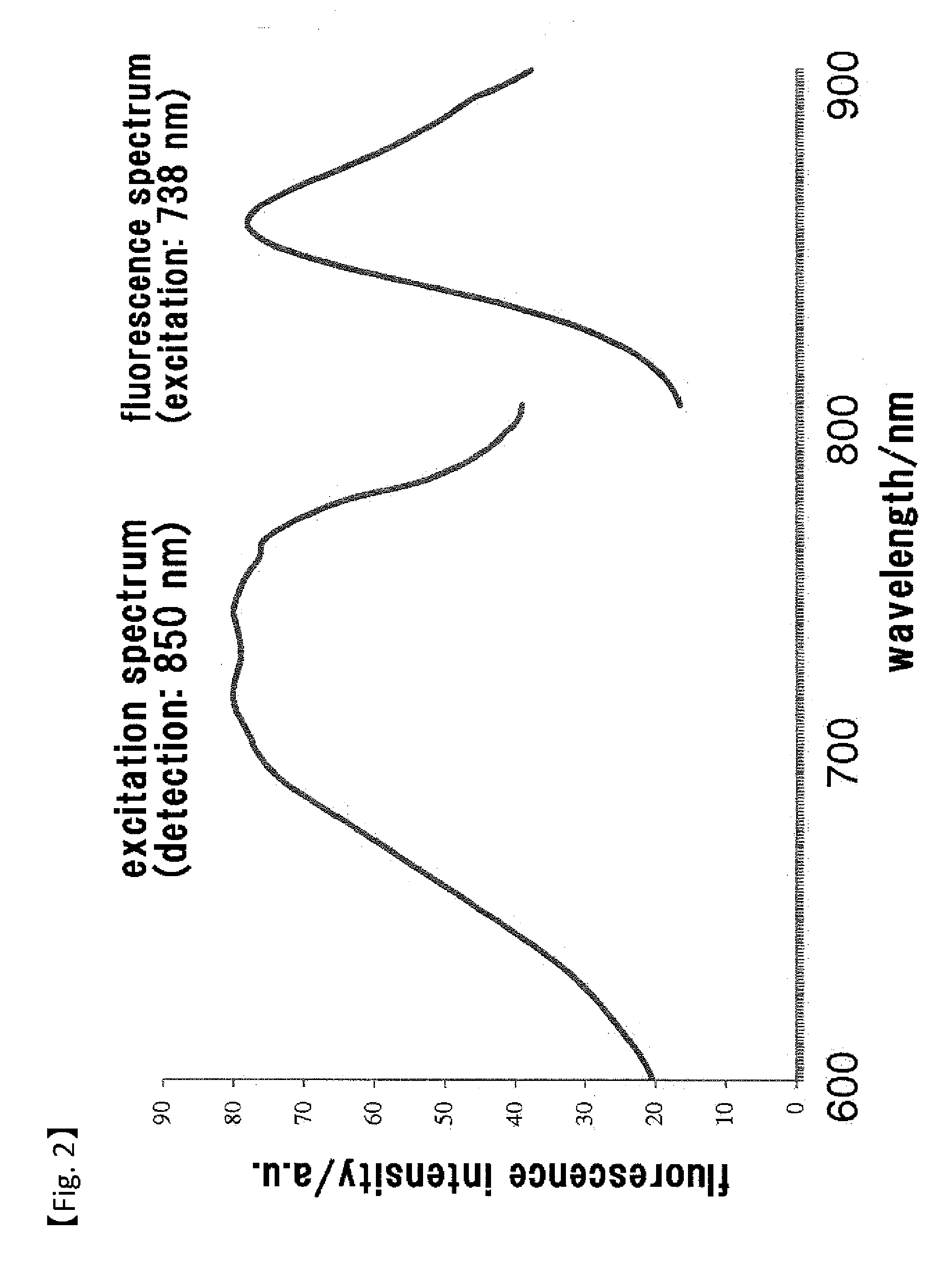 Fluorescent Probe for Imaging Lymph Nodes