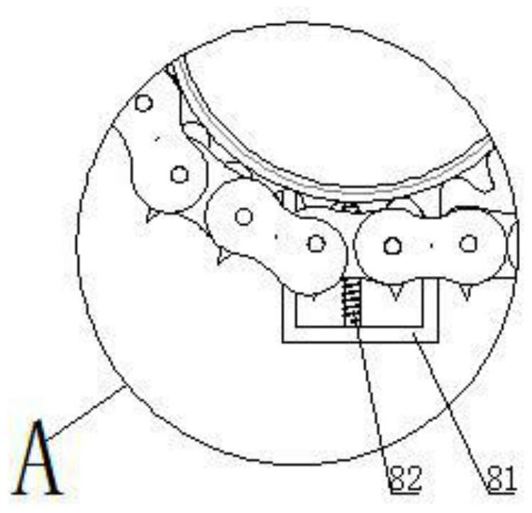 A fish vertical tail cutting bloodletting device