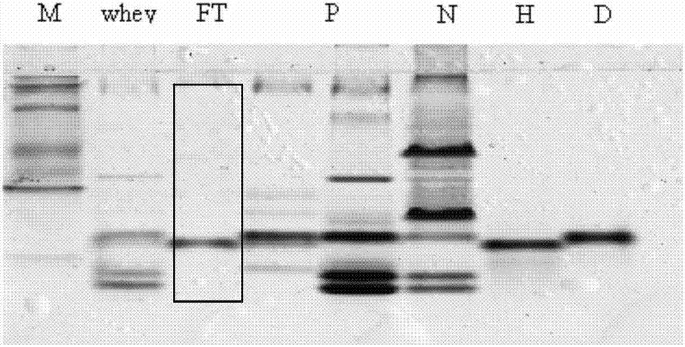 A kind of purification method of whey protein