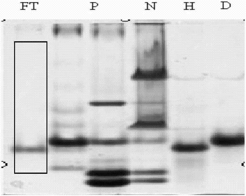 A kind of purification method of whey protein