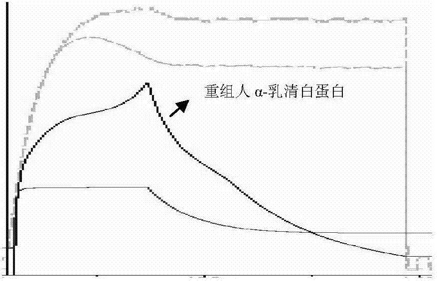 A kind of purification method of whey protein