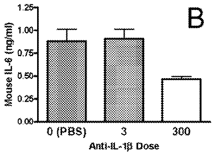 Methods for improvement of beta cell function with anti-IL-1β antibodies or fragments thereof