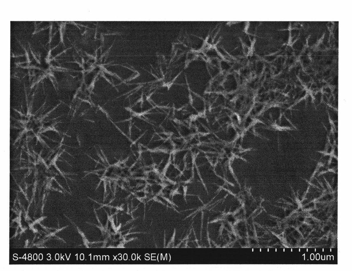 Hydroxyapatite nano-complex particle, preparation and uses thereof