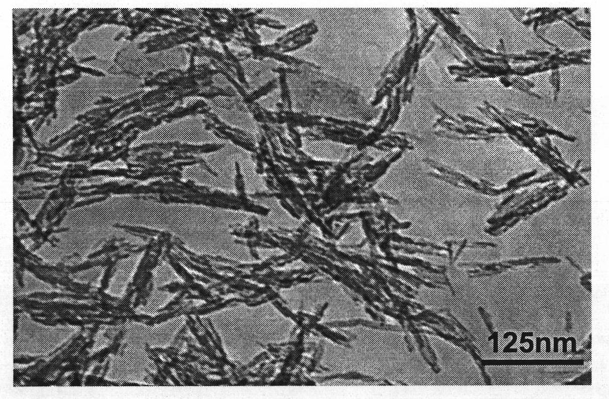 Hydroxyapatite nano-complex particle, preparation and uses thereof