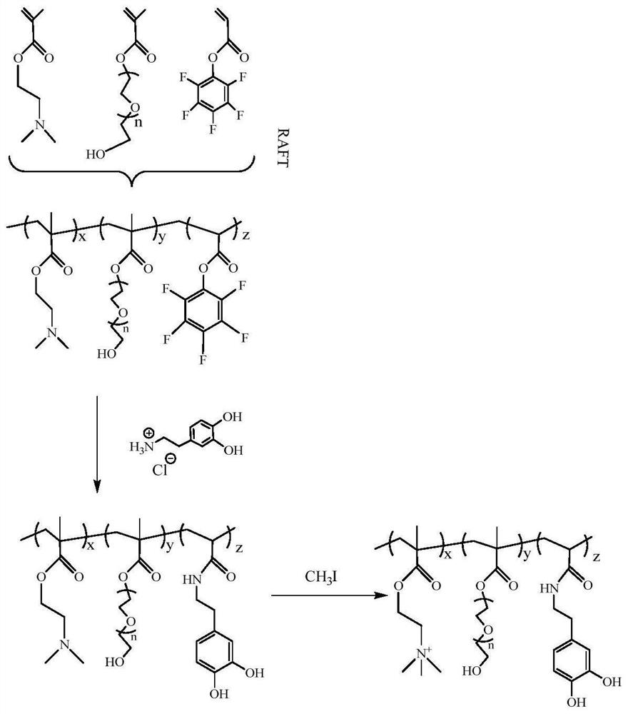 Mussel bionic functional hydrophilic polymer and hydrophilic polymer network modified super-hydrophilic net membrane, as well as preparation methods and application of mussel bionic functional hydrophilic polymer and hydrophilic polymer network modified super-hydrophilic net membrane