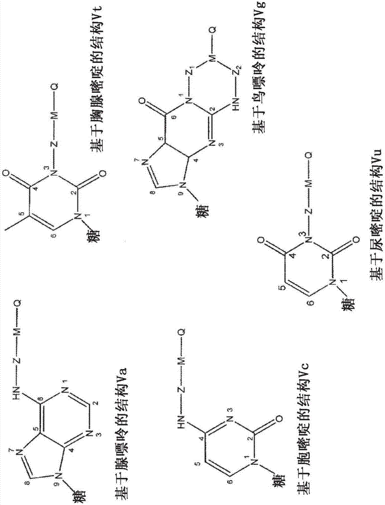 Modified nucleotides for synthesis of nucleic acids, a kit containing such nucleotides and their use for the production of synthetic nucleic acid sequences or genes