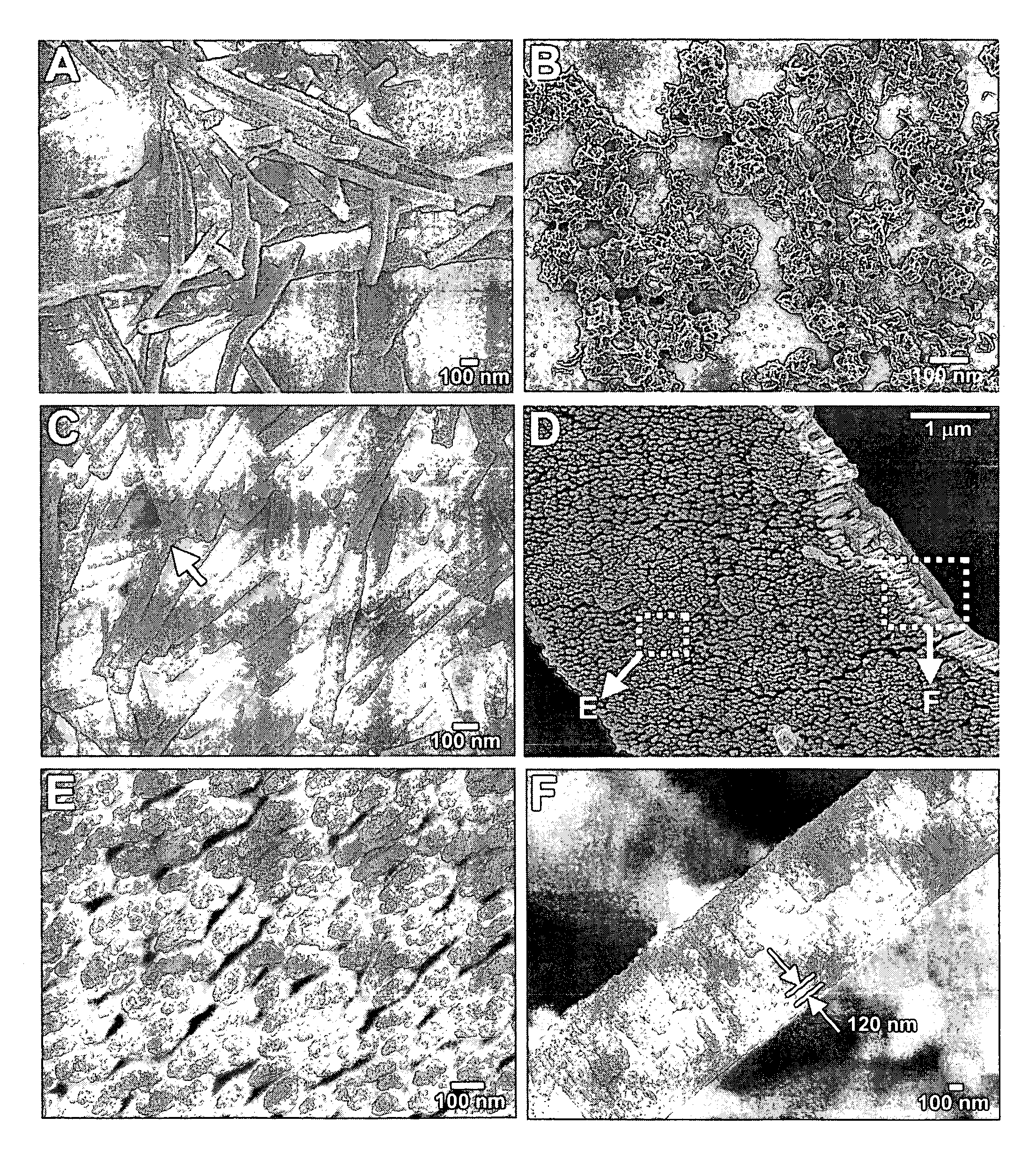 Self assembled nanostructures and mehods for preparing the same