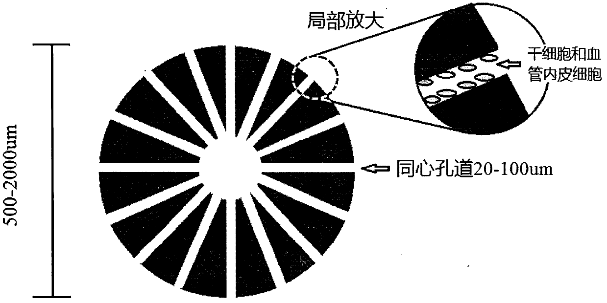 A kind of neural unit spherical support and its preparation