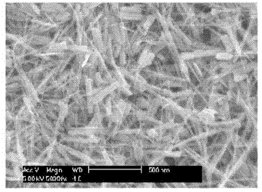 Manganese oxide nanowire, rechargeable battery including the same and method of producing manganese oxide