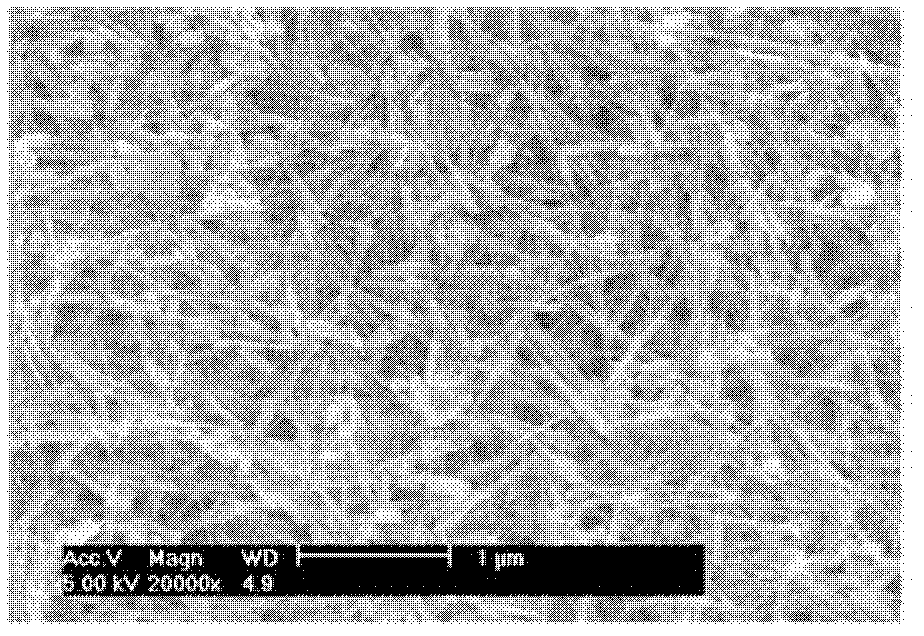 Manganese oxide nanowire, rechargeable battery including the same and method of producing manganese oxide