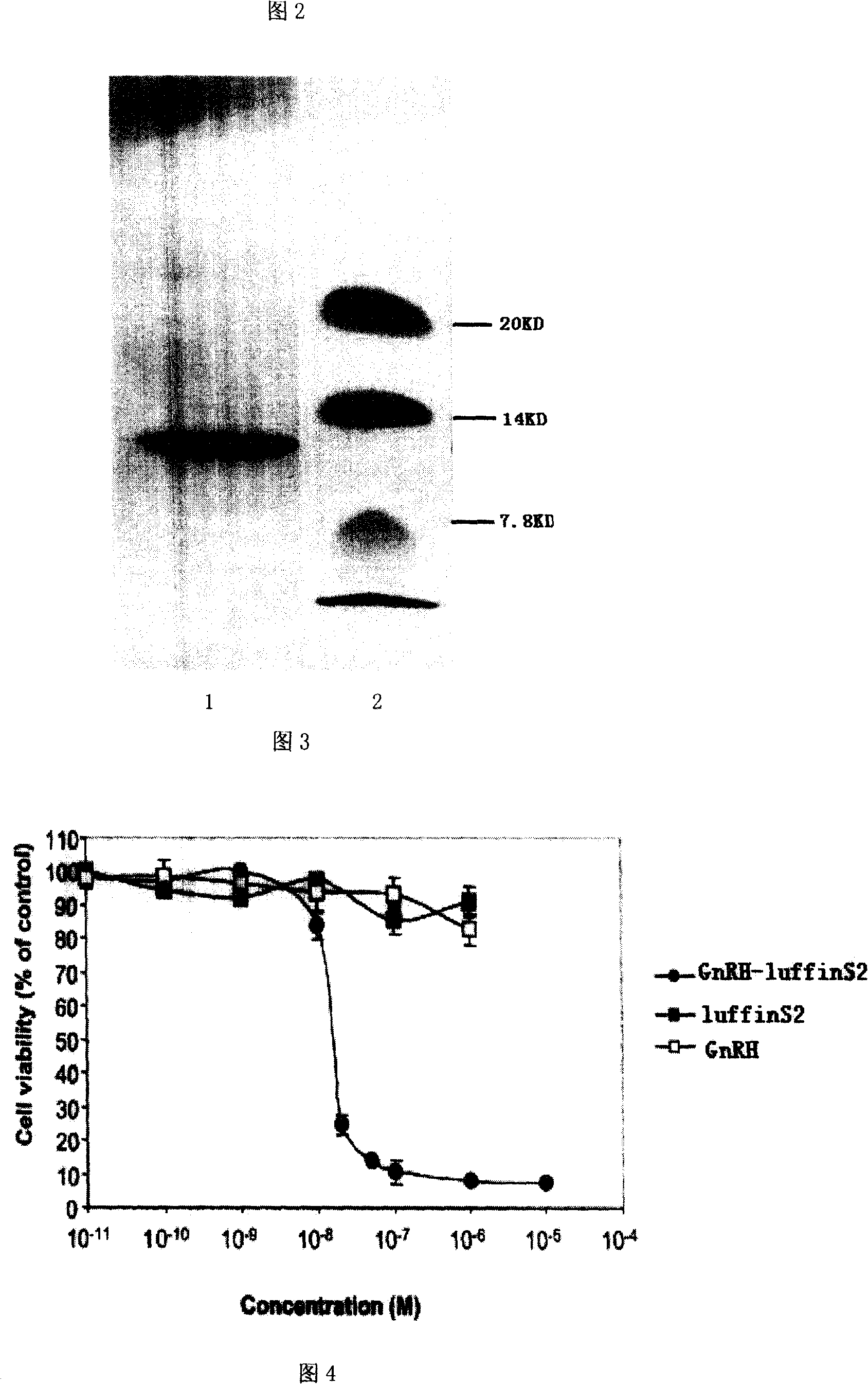 Small molecule recombination toxin GnRH-luffinS2 fusion albumen and its preparation and application