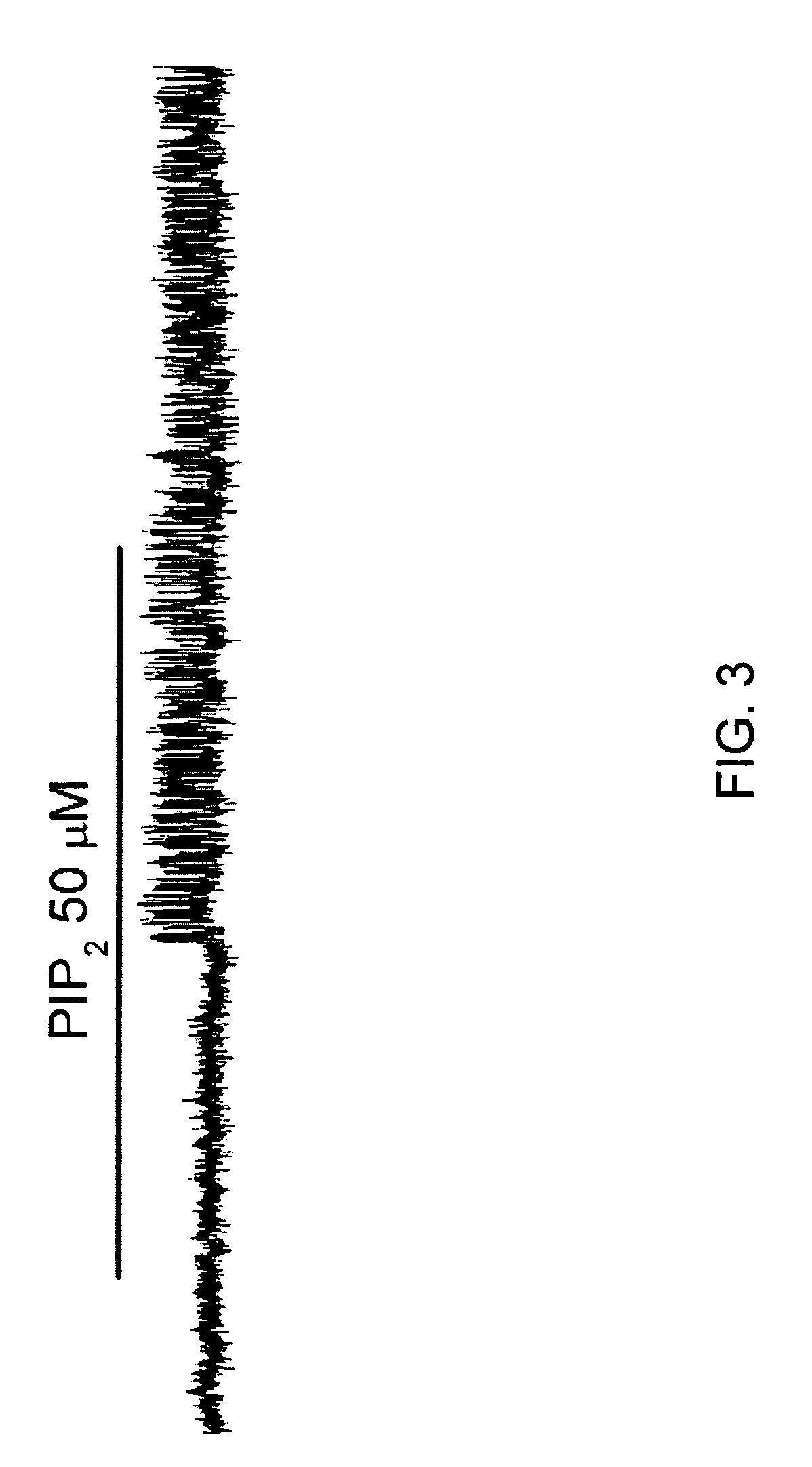 Methods for treating spinal cord injury with a compound that inhibits a NC<sub>Ca-ATP </sub>channel