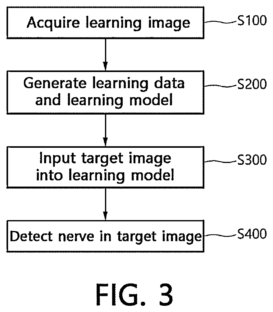 Nerve detection method and device