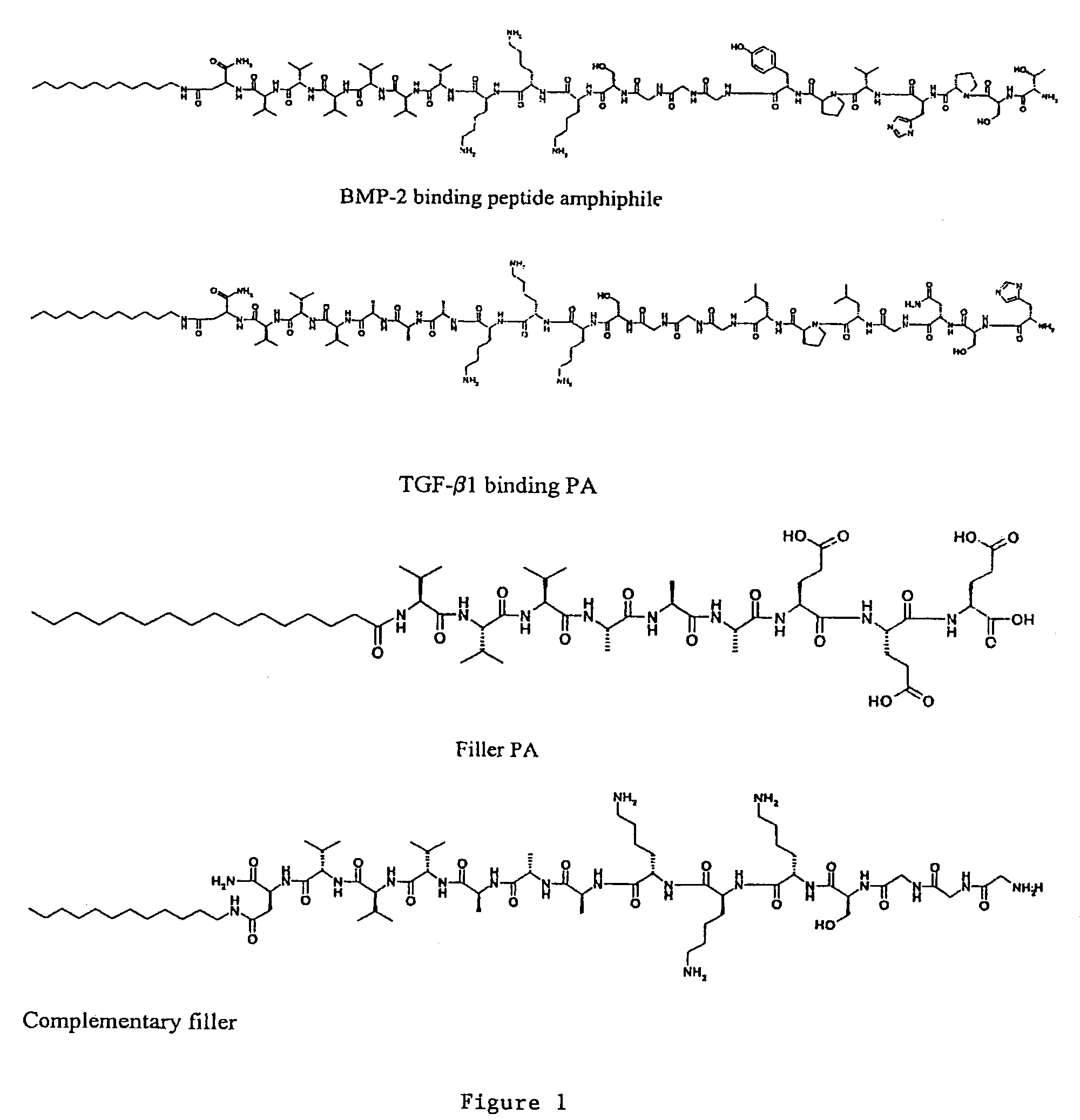 Self-assembling peptide amphiphiles and related methods for growth factor delivery