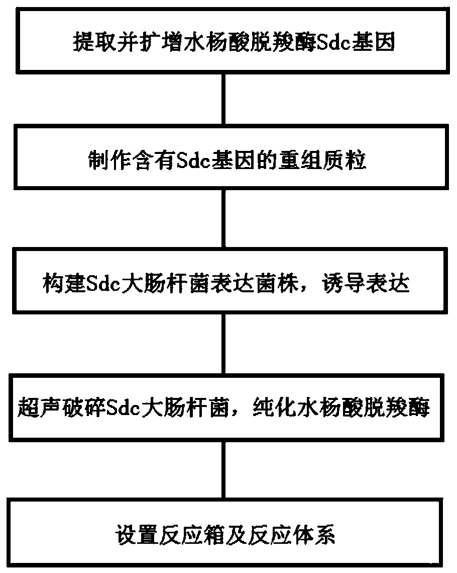 Method of enzymatic degradation of 4-aminosalicylic acid